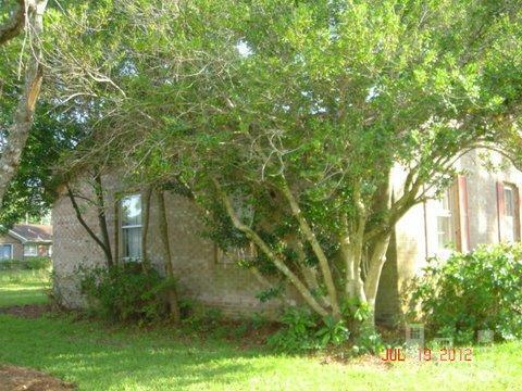 4634 Trafalgar Road Wilmington, NC 28405 - Photo 5 of 12 Additional Photo