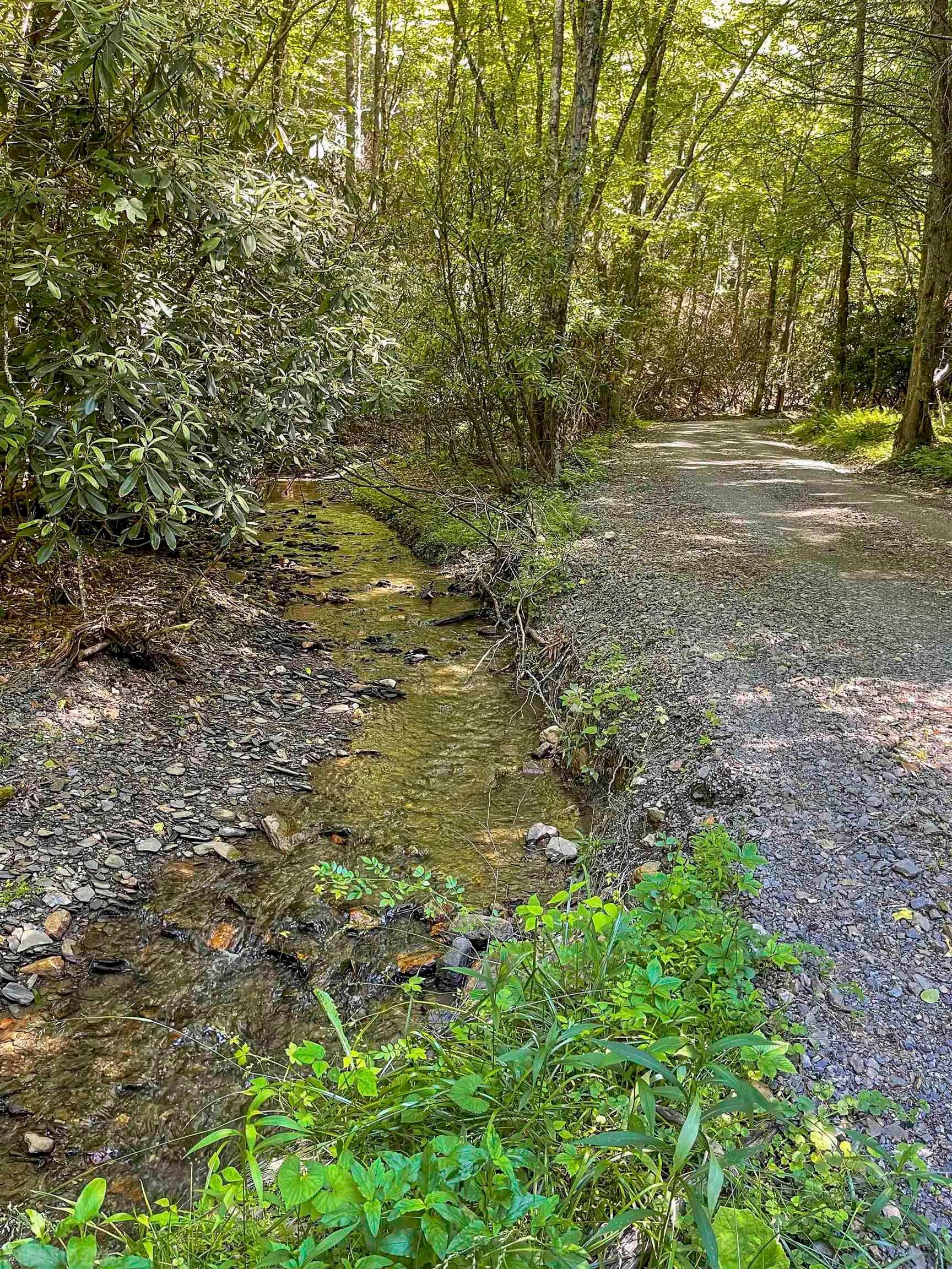 Tbd 68.5-ac Tbd 68.5-ac Berryhill Road Riner, VA 24149 - Photo 22 of 25 Gallery Image 22