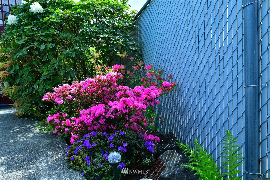 1006 North 36th Street Renton, WA 98056 - Photo 29 of 36 a picture of flowers