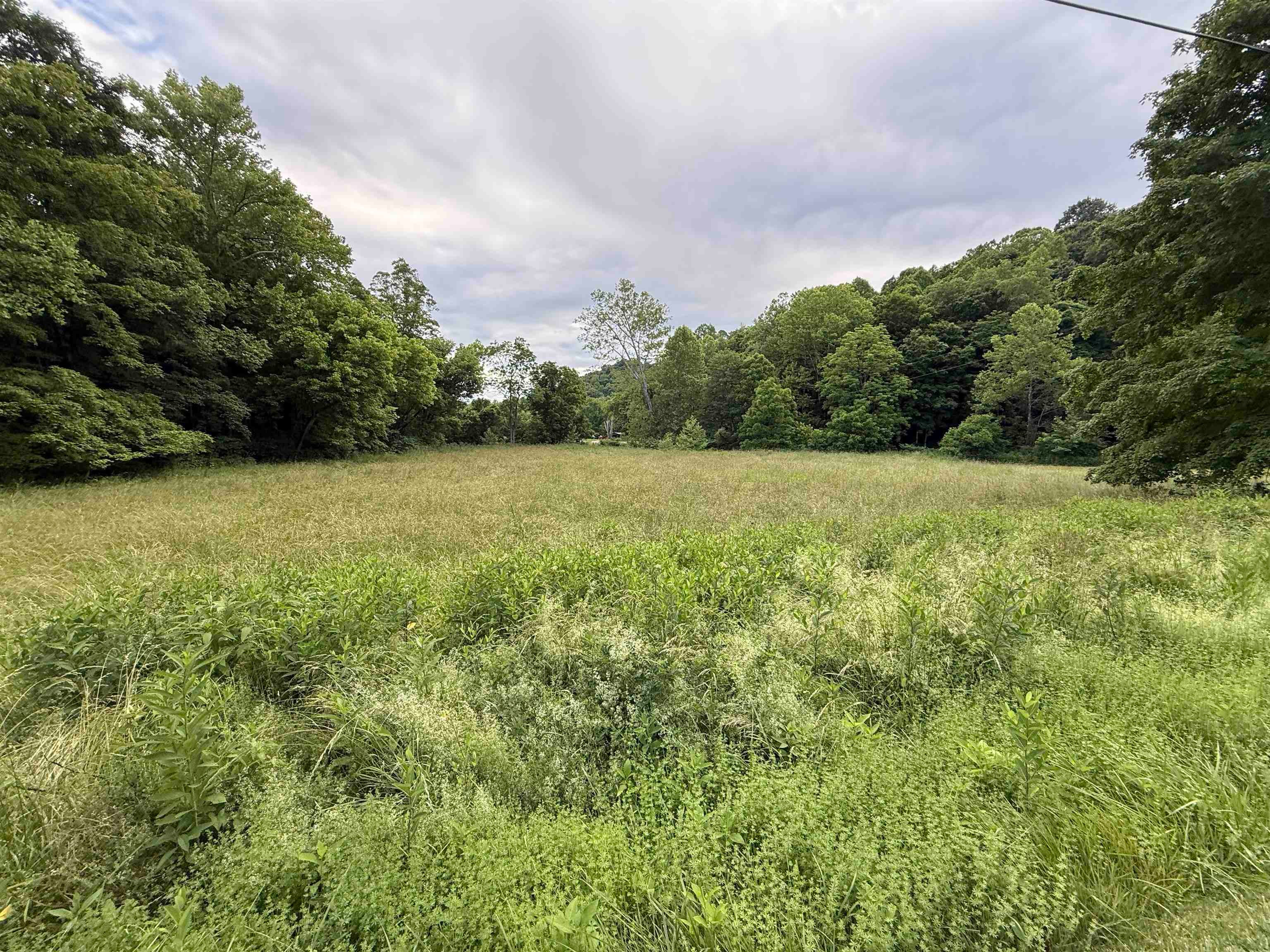0 Co Road Ironton, OH 45638 - Photo 3 of 5 Gallery Image 3