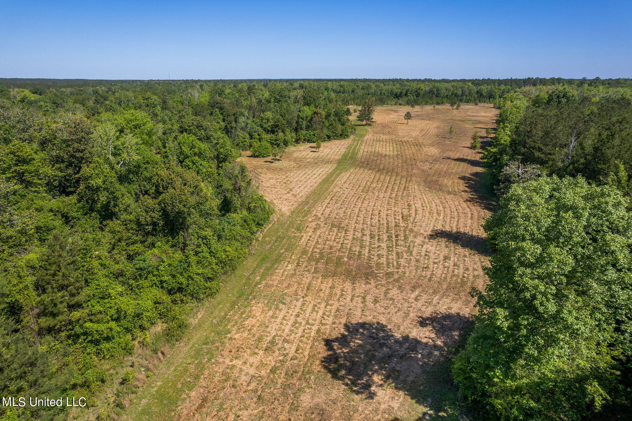 115 Go Go Road Poplarville, MS 39470 - Photo 8 of 17 Go_Go_Rd-29