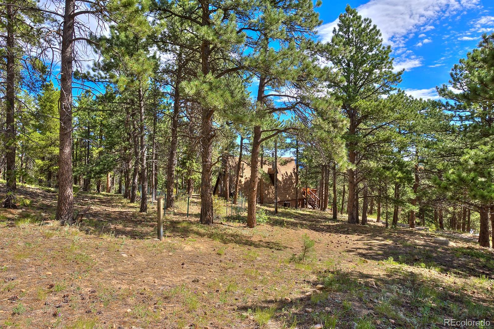 11833 Hillcrest Road Golden, CO 80403 - Photo 23 of 25 Gallery Image 23