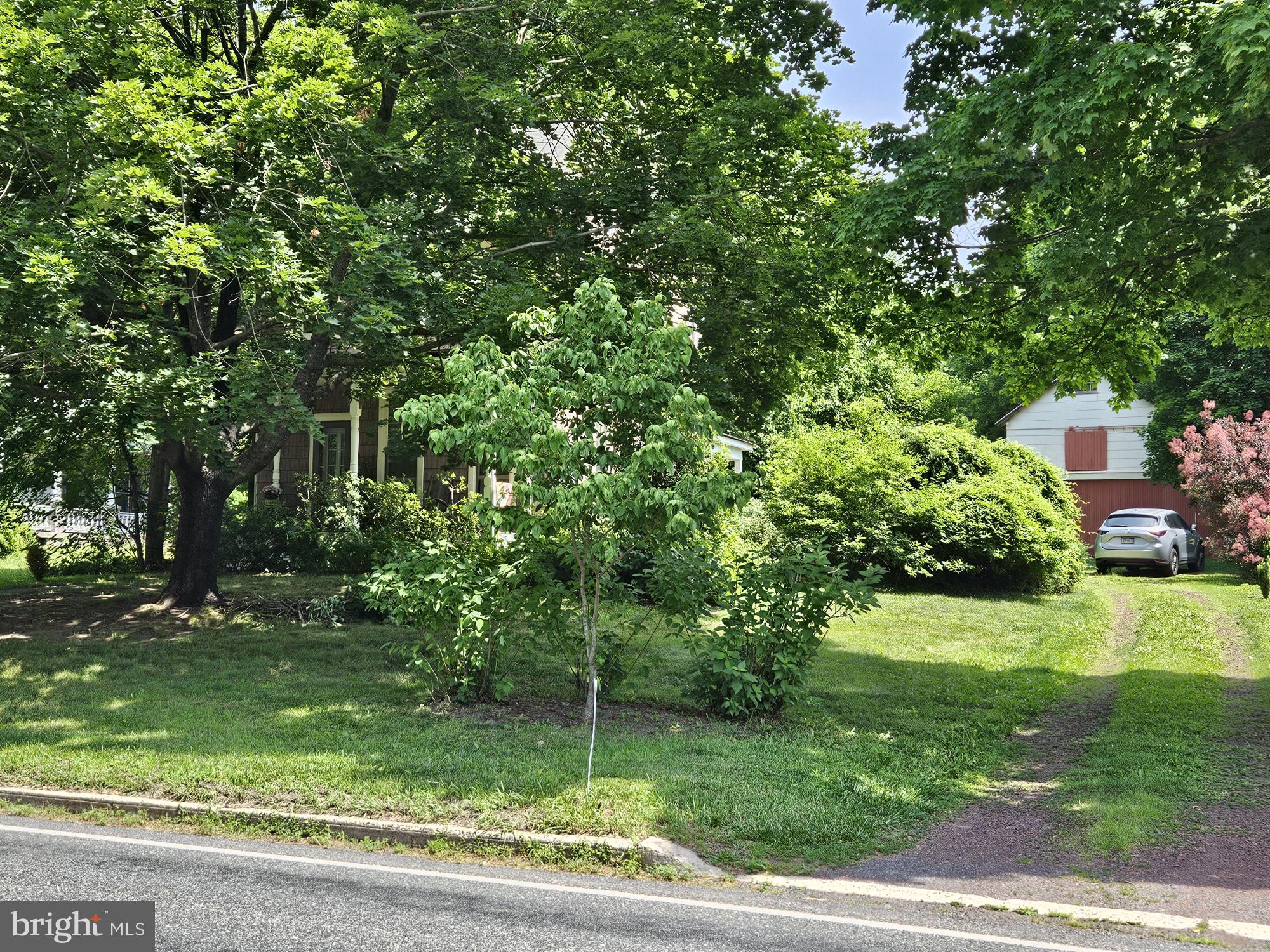 9039 Easton Road Ottsville, PA 18942 - Photo 45 of 61 a view of a yard with plants and large trees