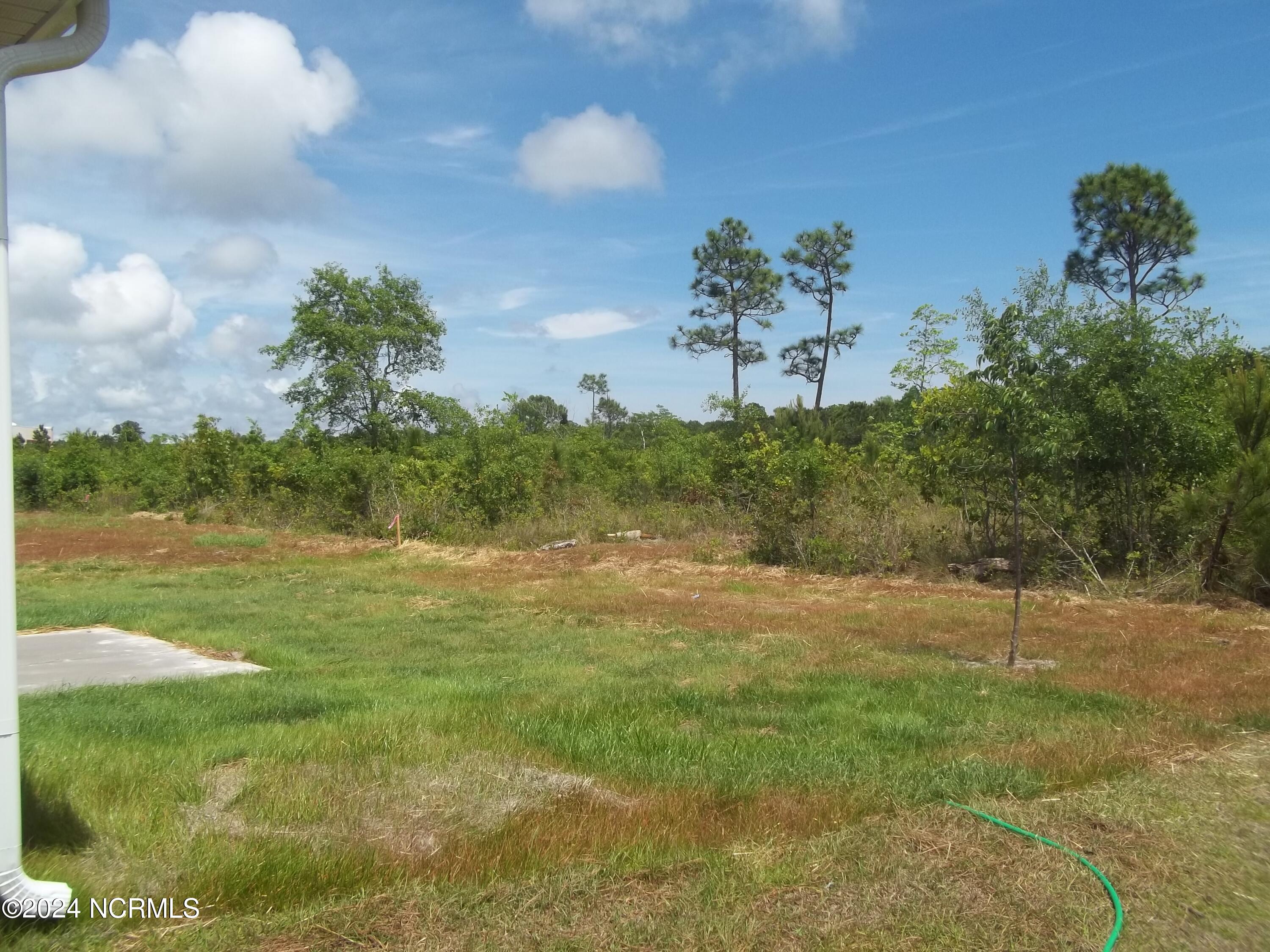 1022 Terraces Lane Hampstead, NC 28443 - Photo 3 of 31 100_5398