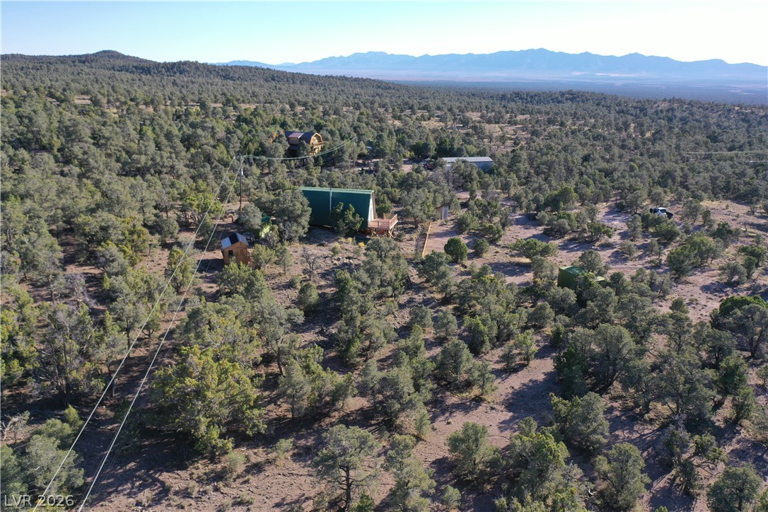 20502 Windsong Road Pioche, NV 89043 - Photo 23 of 30 Dense woodlands surround this secluded mountain retreat, offering unmatched privacy and sweeping horizon views.