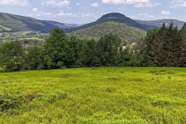 $595,000 | 1278 County Highway, Delhi, NY 13753