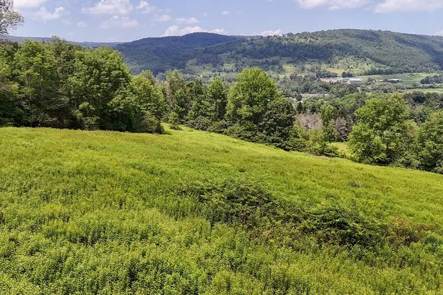 $595,000 | 1278 County Highway, Delhi, NY 13753