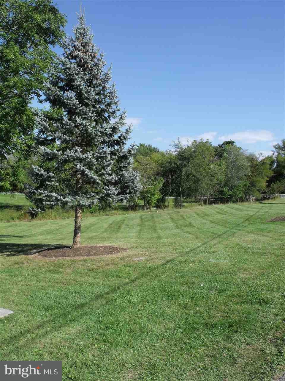 871 Big Mt Road Thomasville, PA 17364 - Photo 26 of 28 Gallery Image 26