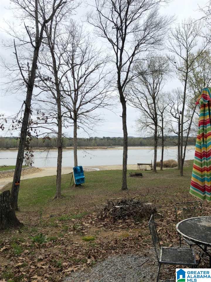 3982 River Ranch Road Ragland, AL 35131 - Photo 14 of 14