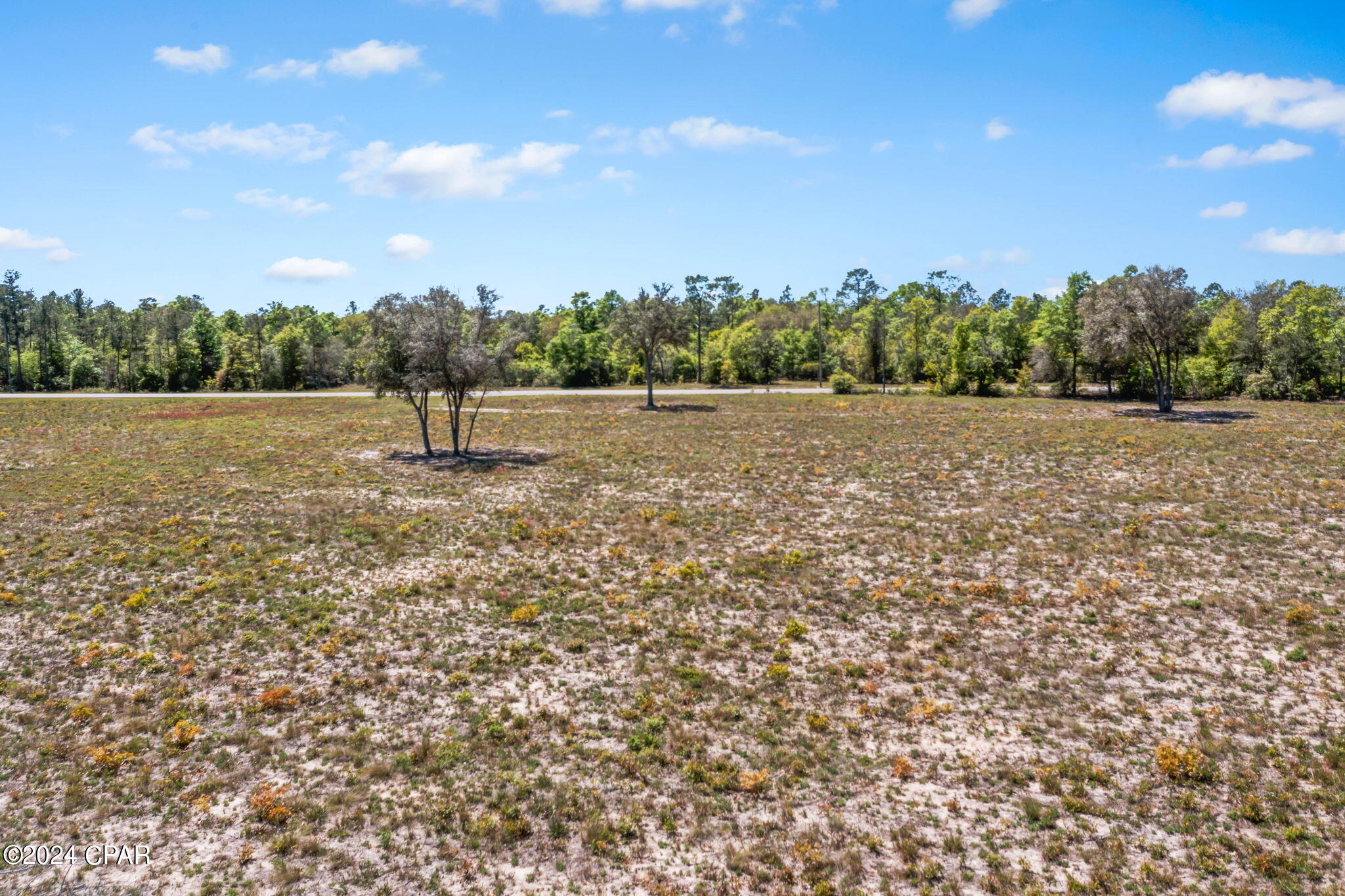 Xxx Bonnett Pond Road Chipley, FL 32428 - Photo 11 of 22 Gallery Image 11