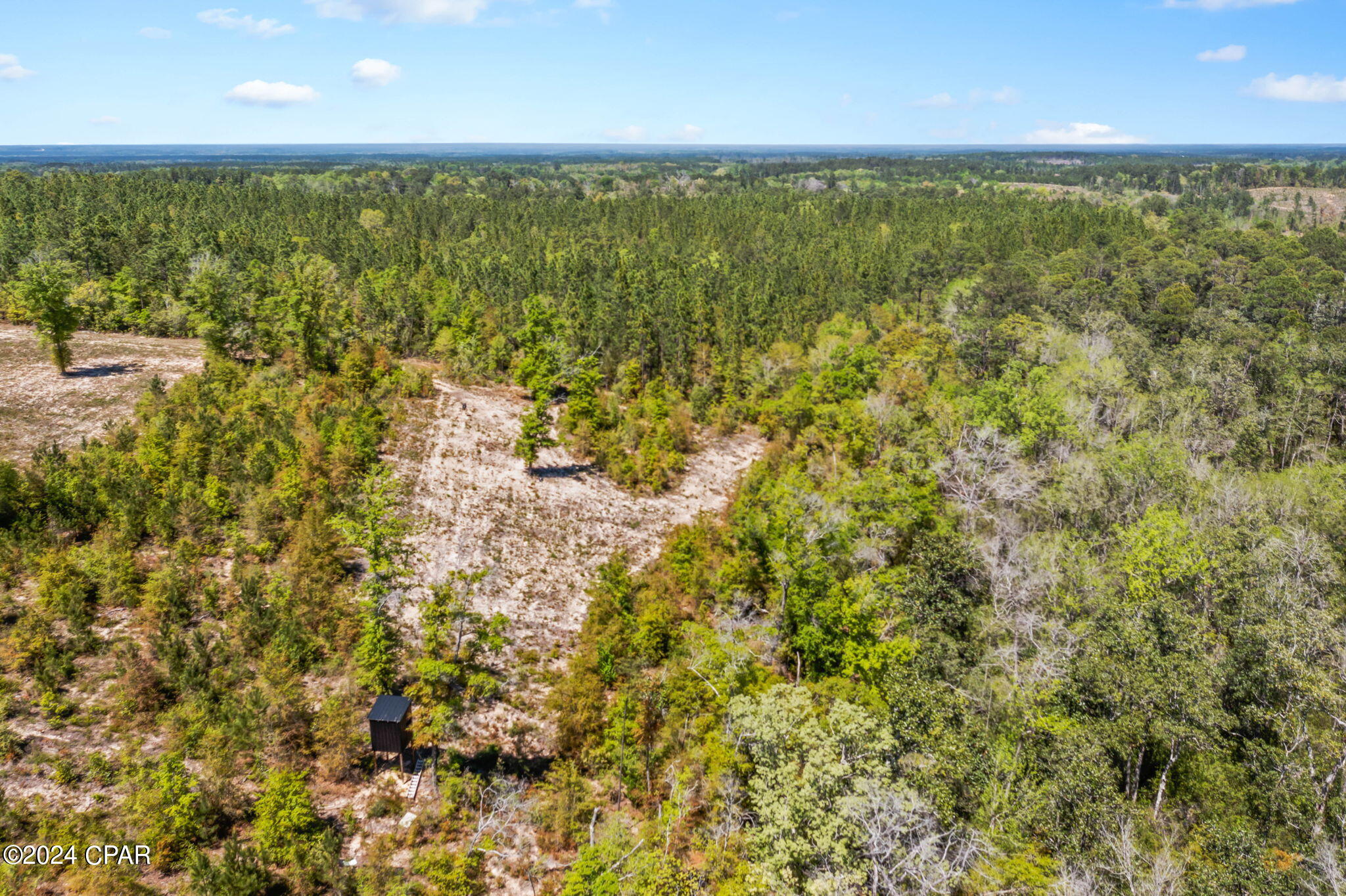 Xxx Bonnett Pond Road Chipley, FL 32428 - Photo 18 of 22 Gallery Image 18