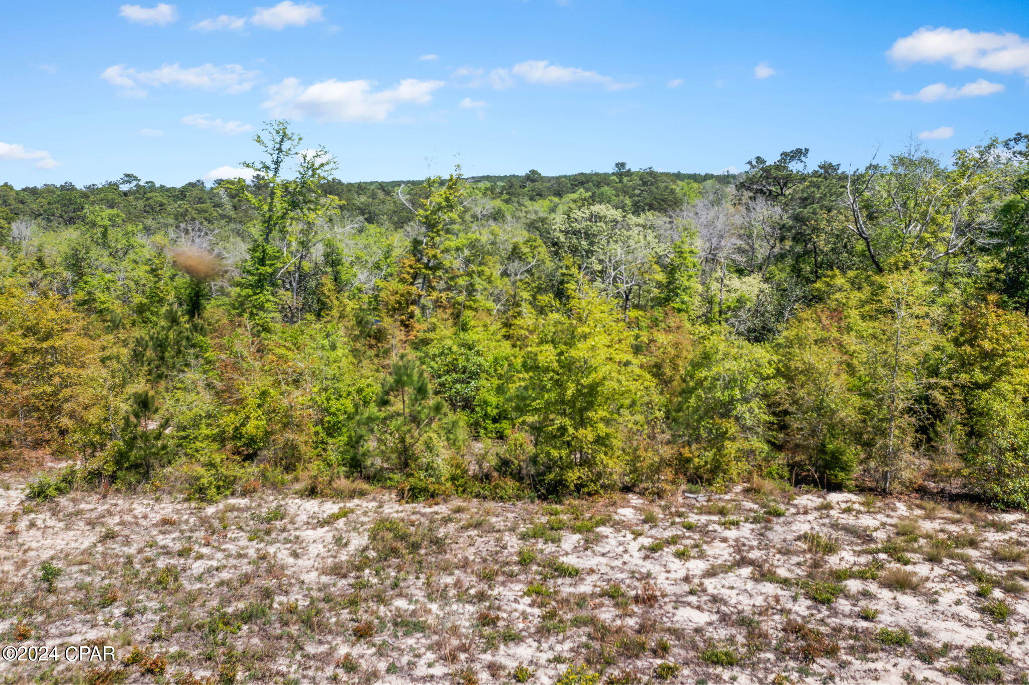 Xxx Bonnett Pond Road Chipley, FL 32428 - Photo 19 of 22 Gallery Image 19
