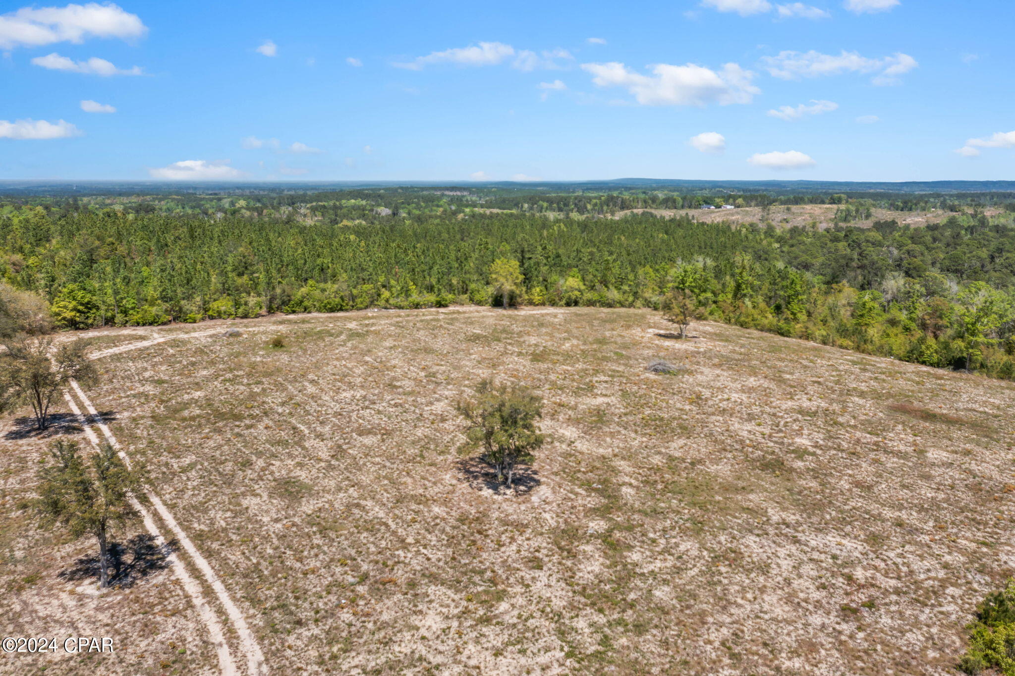 Xxx Bonnett Pond Road Chipley, FL 32428 - Photo 7 of 22 Gallery Image 7