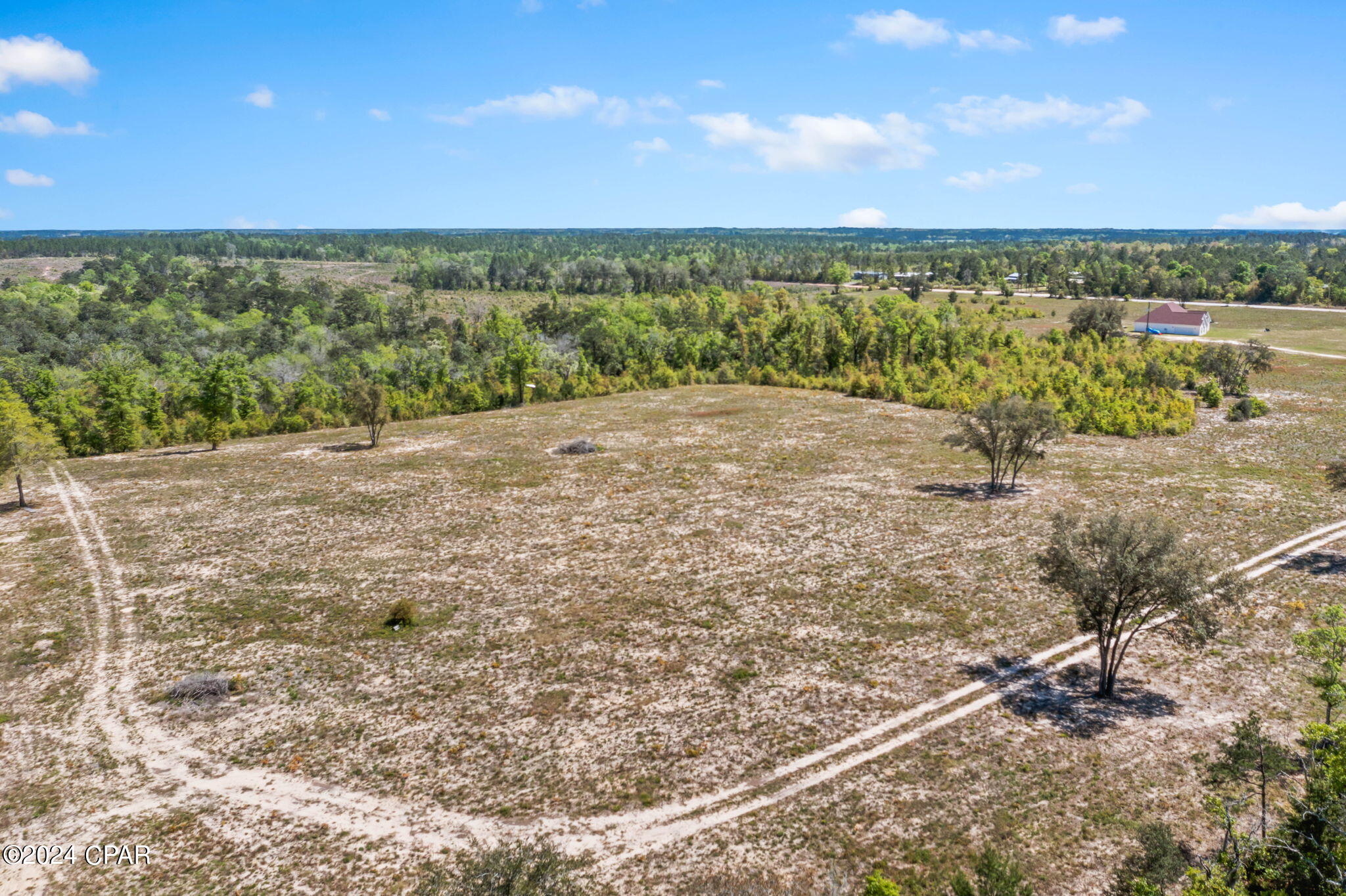 Xxx Bonnett Pond Road Chipley, FL 32428 - Photo 8 of 22 Gallery Image 8