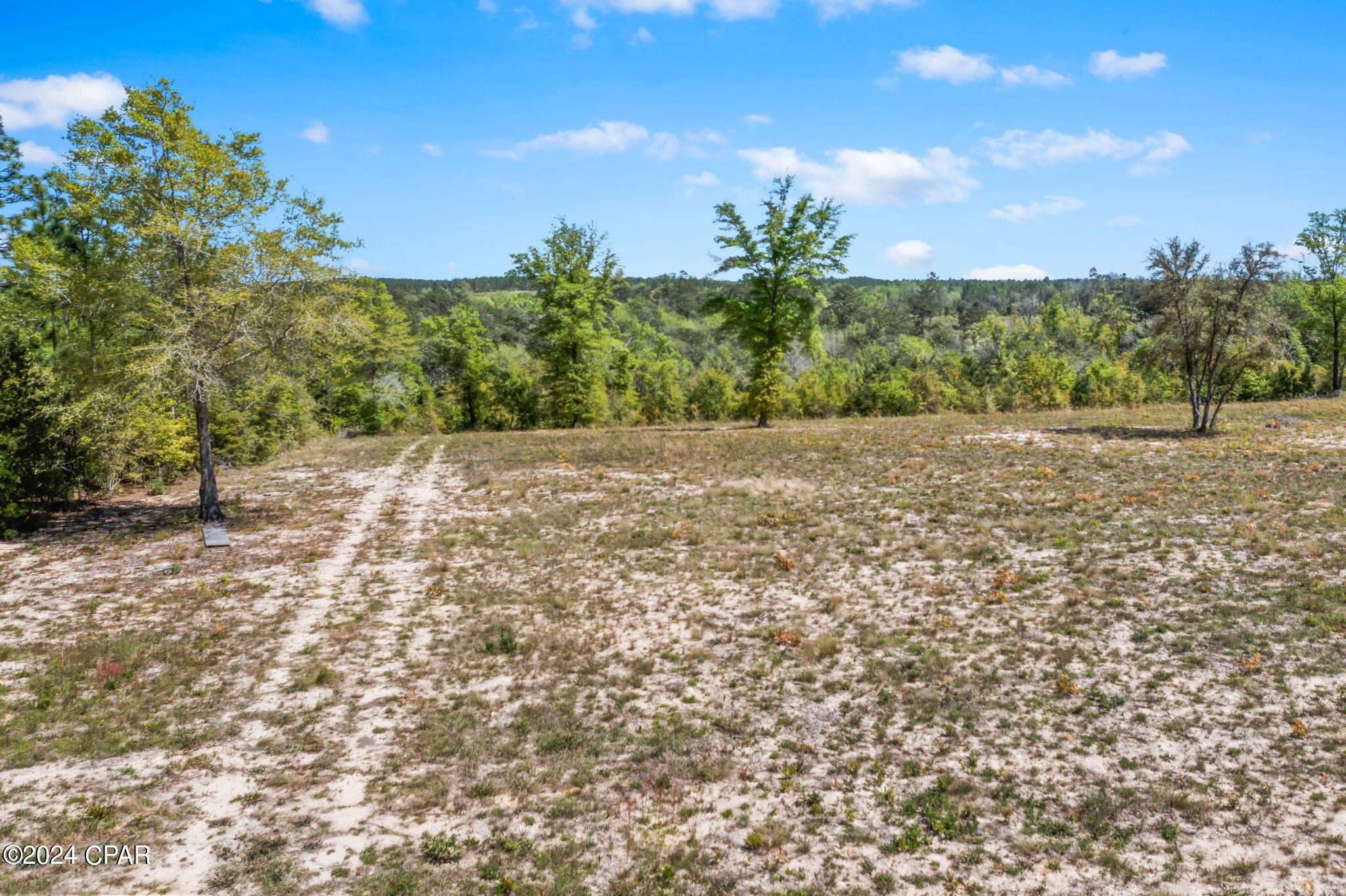Xxx Bonnett Pond Road Chipley, FL 32428 - Photo 9 of 22 Gallery Image 9