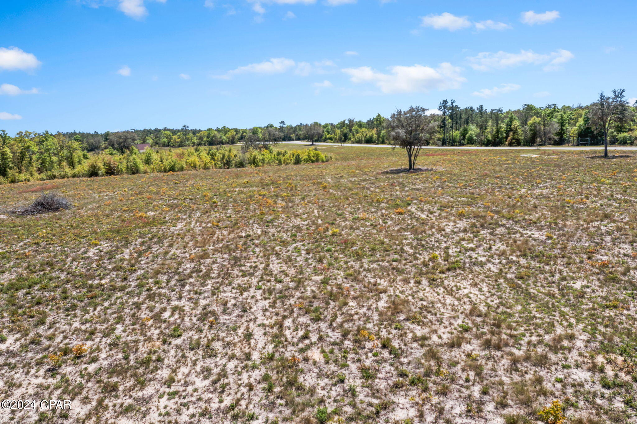 Xxx Bonnett Pond Road Chipley, FL 32428 - Photo 10 of 22 Gallery Image 10