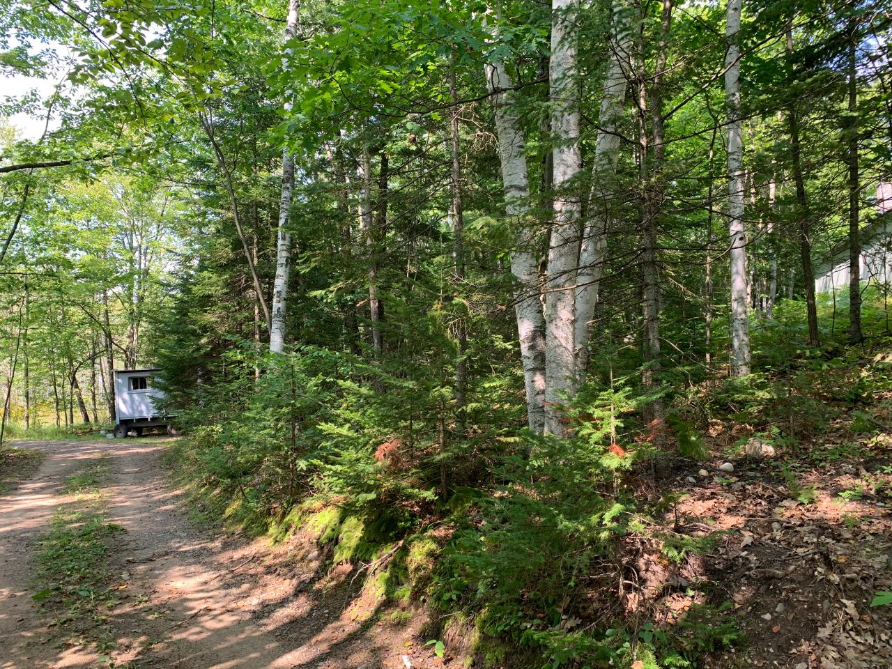 N7495 Begin Road Deerbrook, WI 54424 - Photo 43 of 46 Gallery Image 43