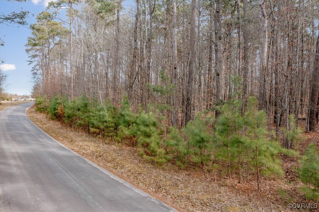 Tbd Sloop Point Road Spring Grove, VA 23881 - Photo 4 of 10 Gallery Image 4