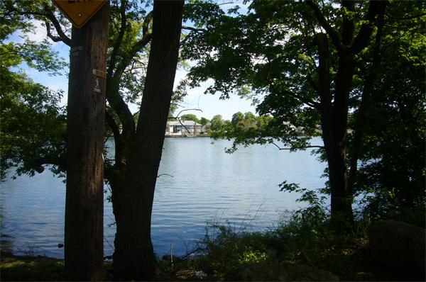 1 Pine Point Road Lynn, MA 01904 - Photo 14 of 15 a view of a lake in a forest