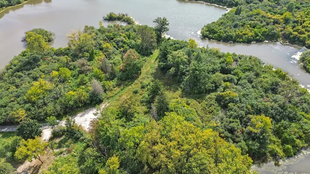 a view of a garden with a tree