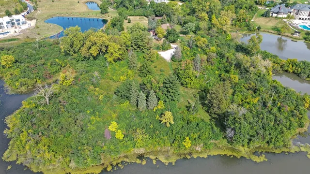a view of a bunch of flowers in a garden