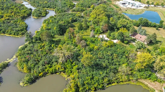 a view of yard with tree