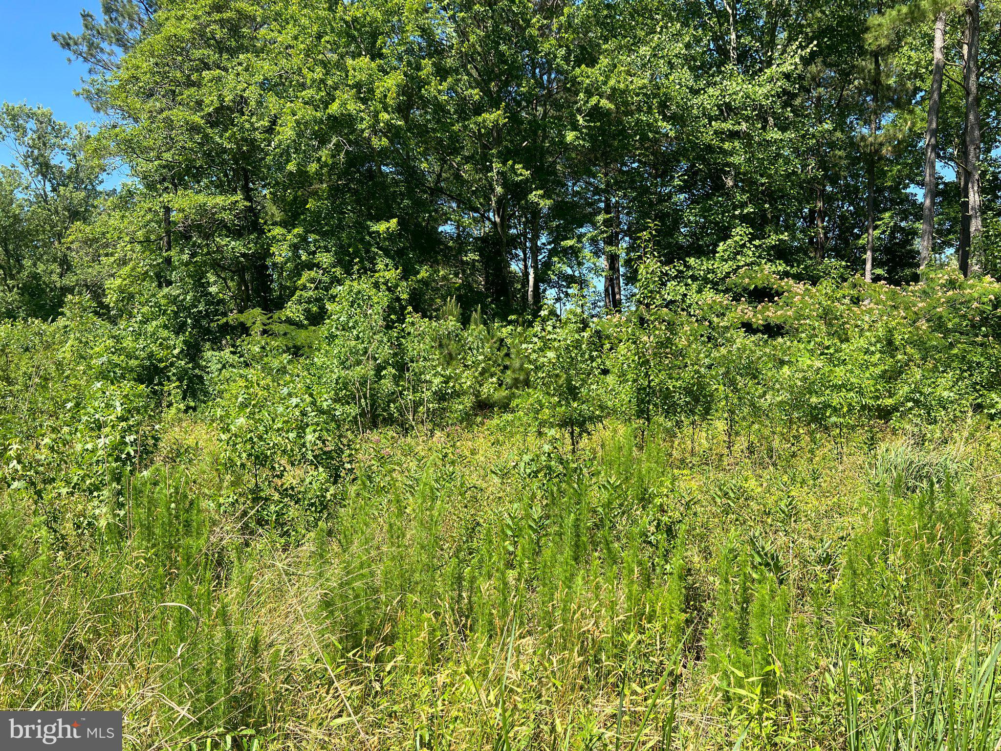 Cedar Court Hebron, MD 21830 - Photo 4 of 13