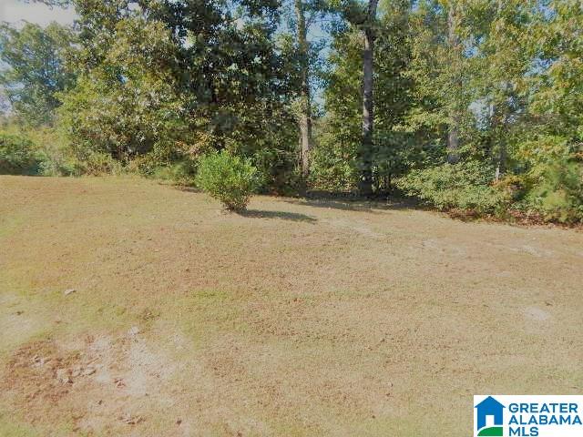 5300 Red Valley Road Remlap, AL 35133 - Photo 28 of 33