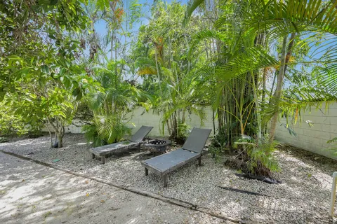 a view of a backyard with plants and trees