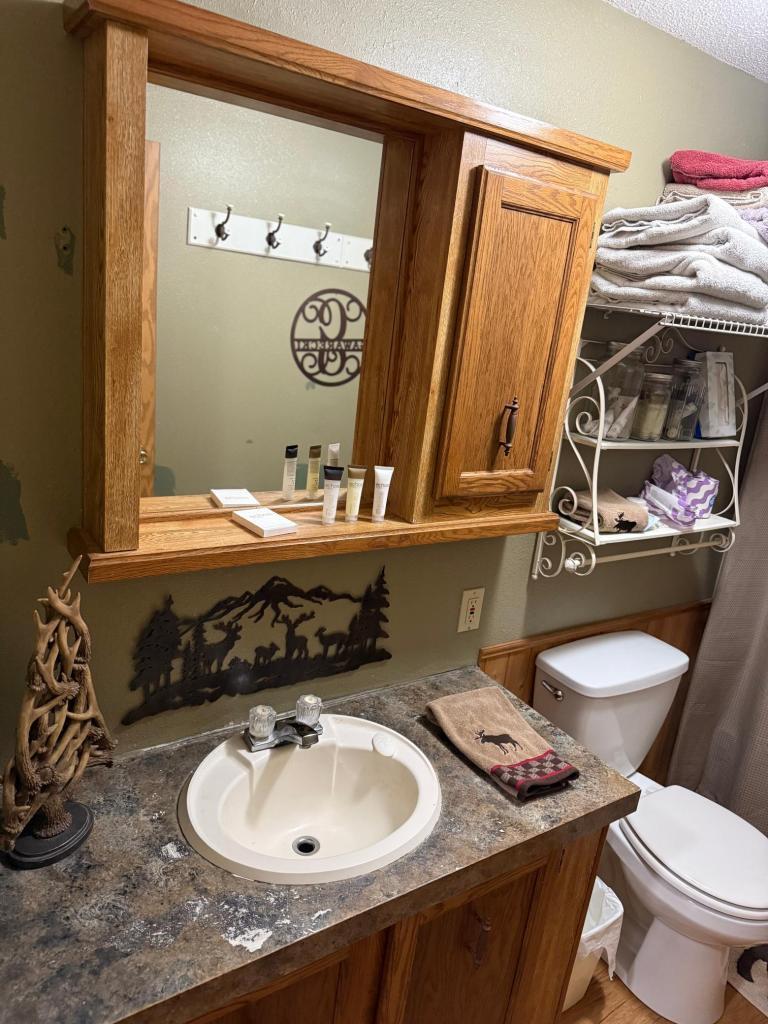 22880 Sunny Beach Road Northeast Kelliher, MN 56650 - Photo 44 of 73