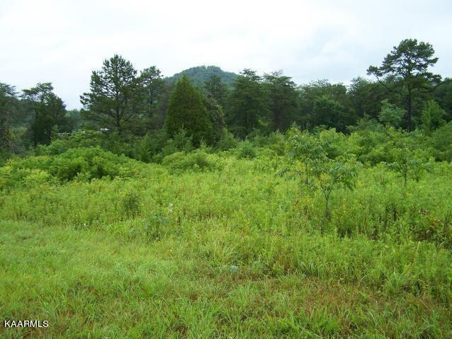 Rocky Springs Road Road Bean Station, TN 37708 - Photo 3 of 3 20160817003336024515000000-o