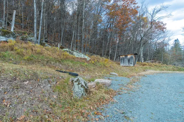 a view of a city with lush green forest