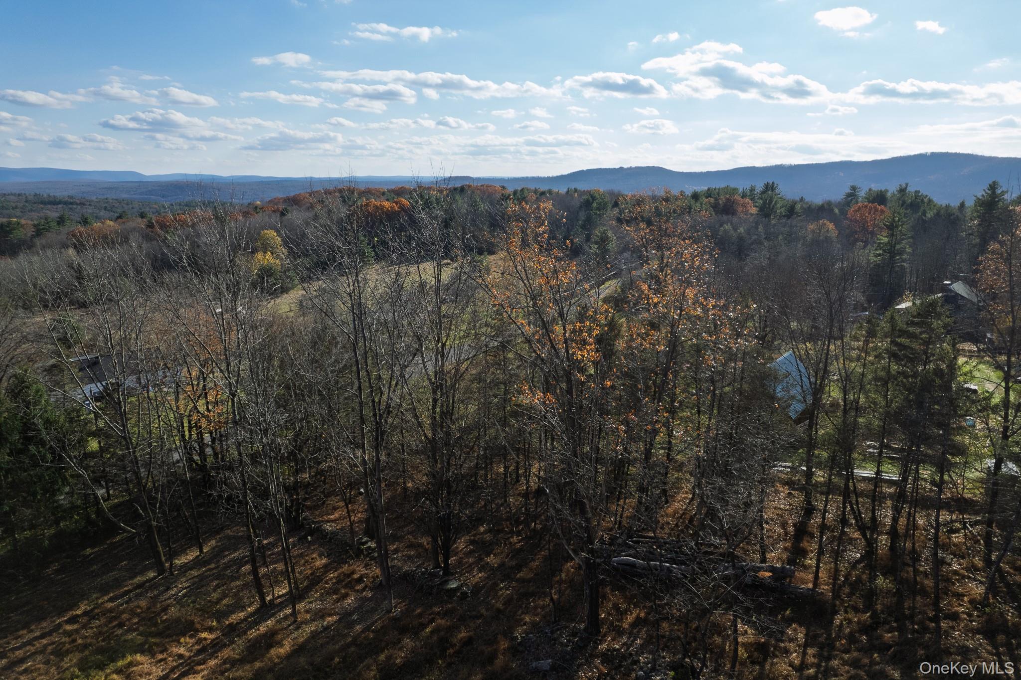 15 Deans Road Napanoch, NY 12458 - Photo 16 of 21 a view of a city with lush green forest