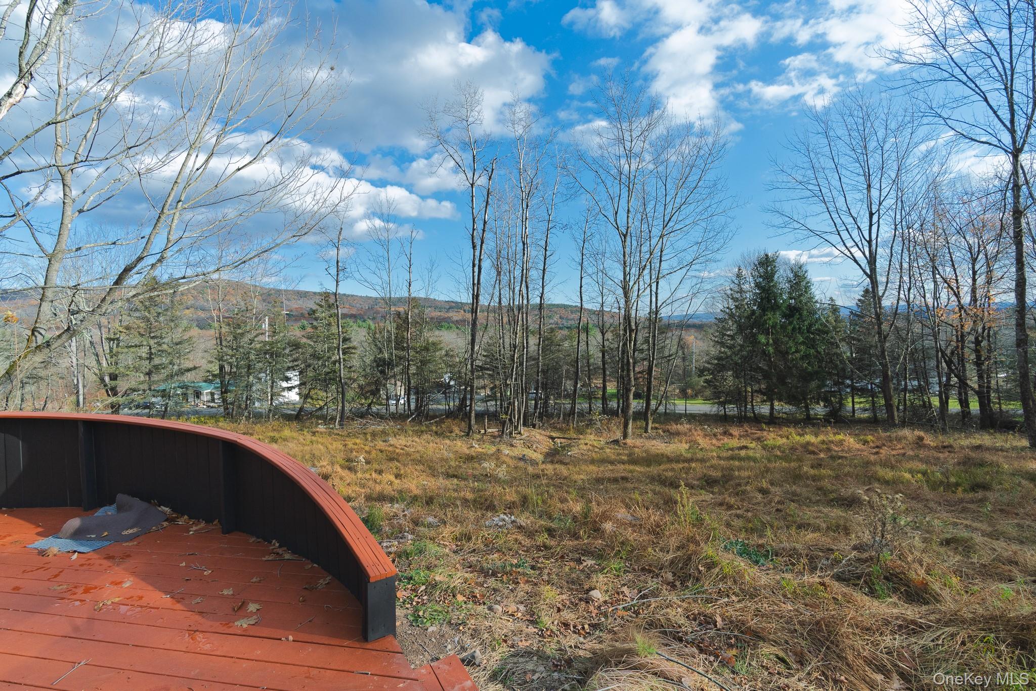 15 Deans Road Napanoch, NY 12458 - Photo 17 of 21 a view of outdoor space with trees