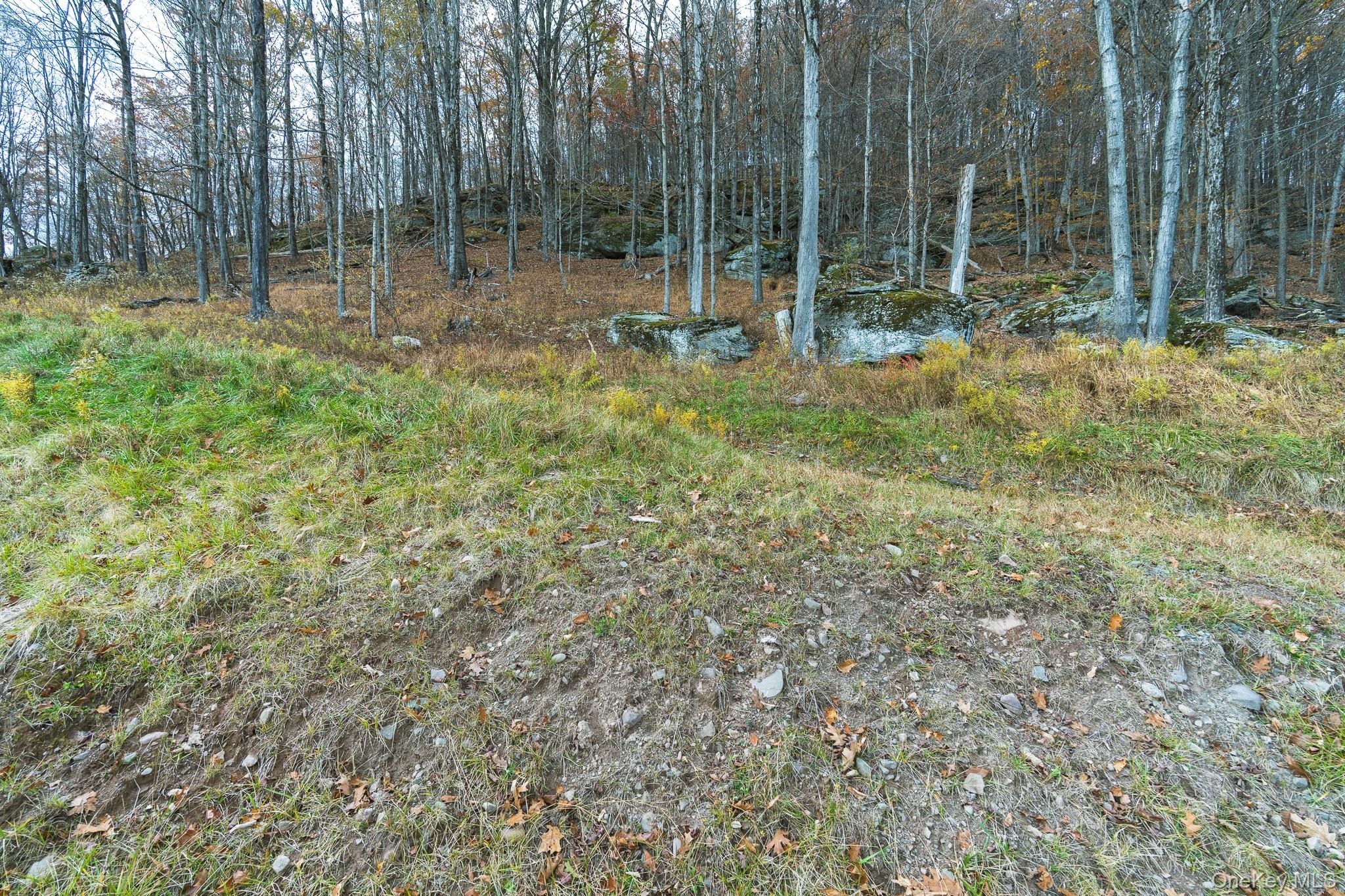 15 Deans Road Napanoch, NY 12458 - Photo 19 of 21 a view of outdoor space with trees