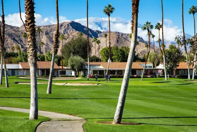 a view of a park with large trees
