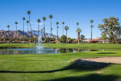 a view of a park with large trees