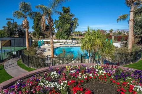 a view of a potted flower in a yard next to a building