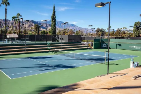 a view of a park with large trees