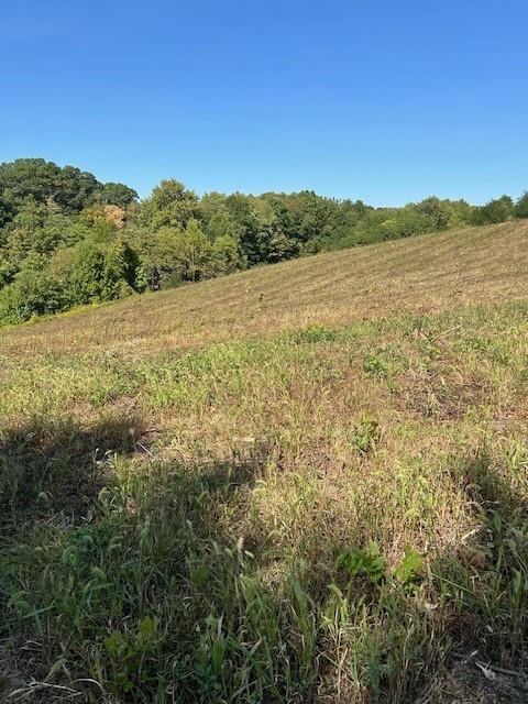 0 Tanner Lane Latrobe, PA 15650 - Photo 13 of 20