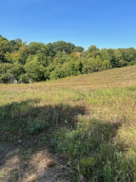 0 Tanner Lane Latrobe, PA 15650 - Photo 14 of 20 a view of lake and mountain