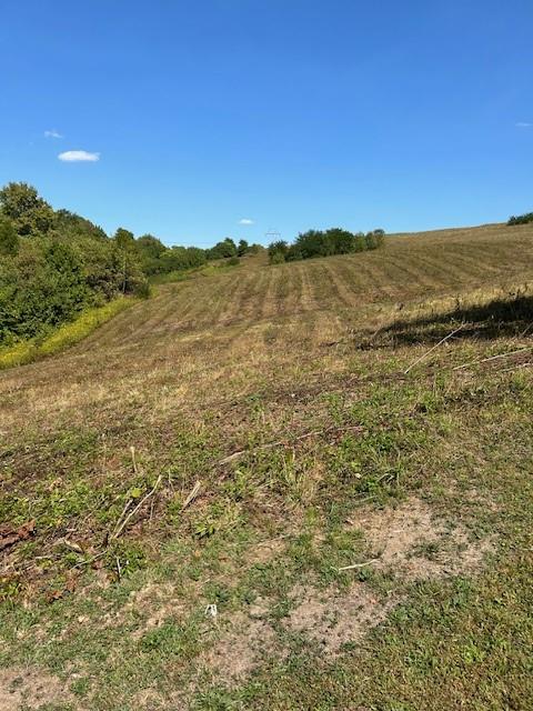 0 Tanner Lane Latrobe, PA 15650 - Photo 17 of 20 a view of an ocean