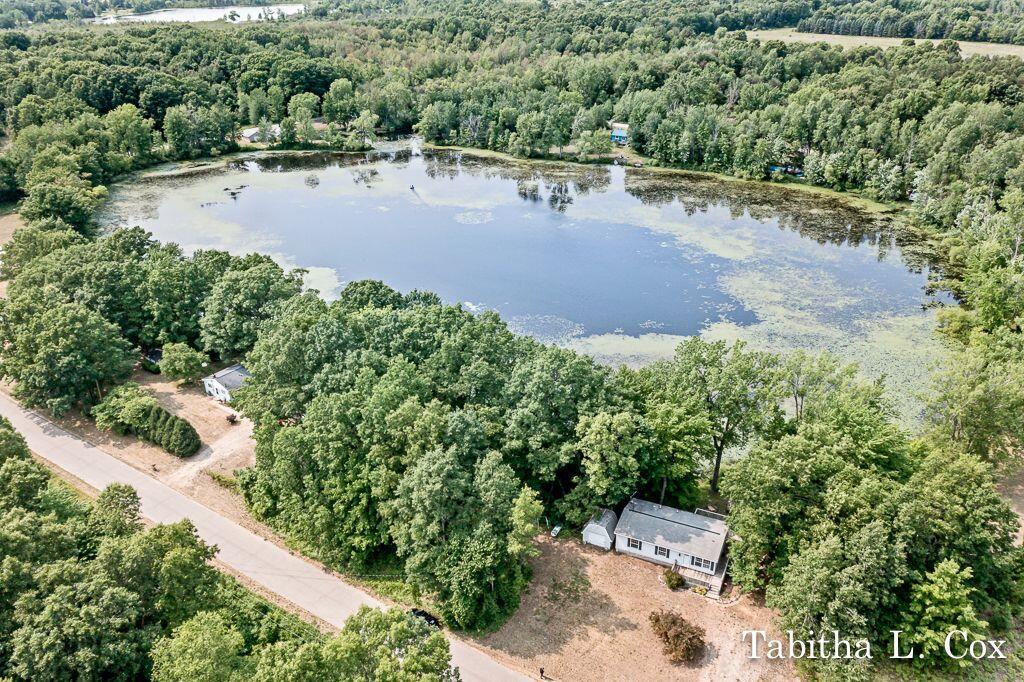 2442 Timberline Drive Rothbury, MI 49452 - Photo 9 of 39 9
