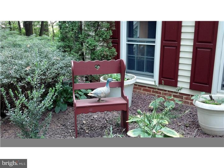342 Pine Grove Road Nottingham, PA 19362 - Photo 15 of 19 a black and white photo of a garden