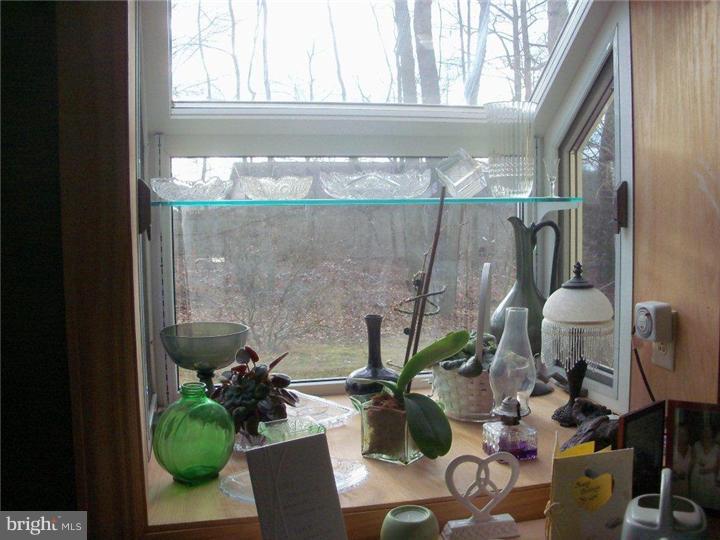 342 Pine Grove Road Nottingham, PA 19362 - Photo 3 of 19 a potted plant sitting on a table next to a window