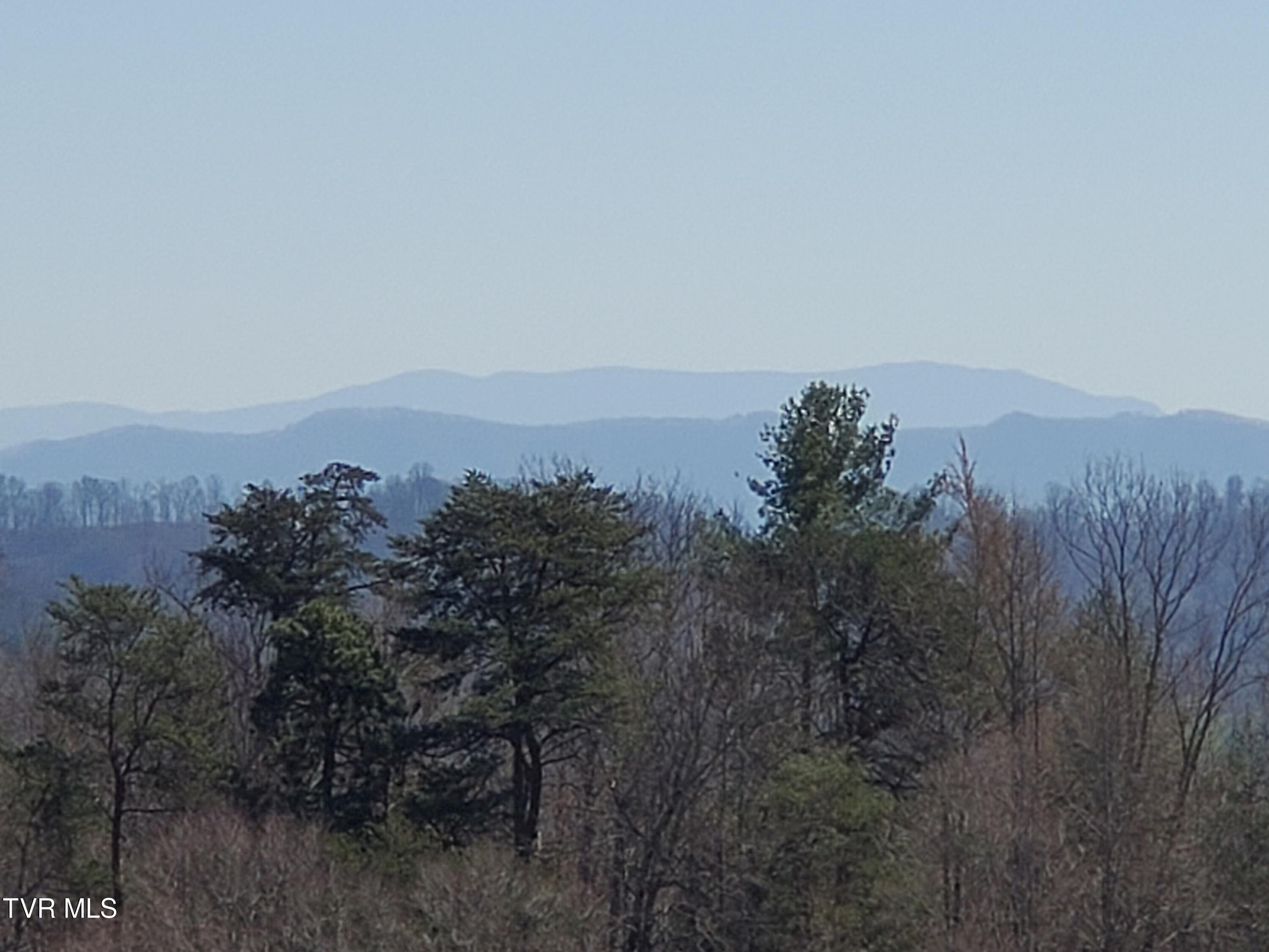 119 Jenkins Road Jonesborough, TN 37659 - Photo 2 of 38 View from Back Deck