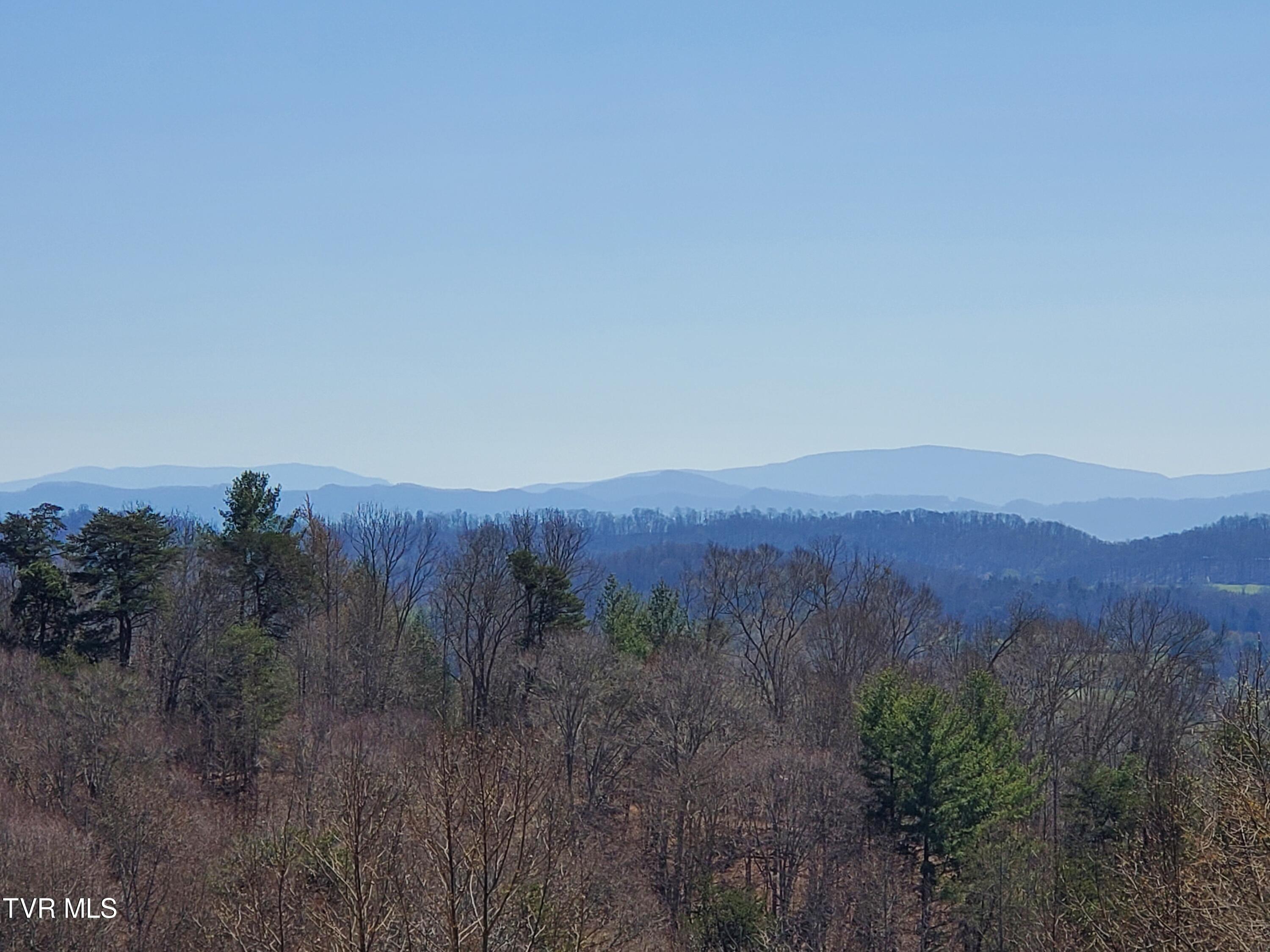 119 Jenkins Road Jonesborough, TN 37659 - Photo 37 of 38 20240320_131138