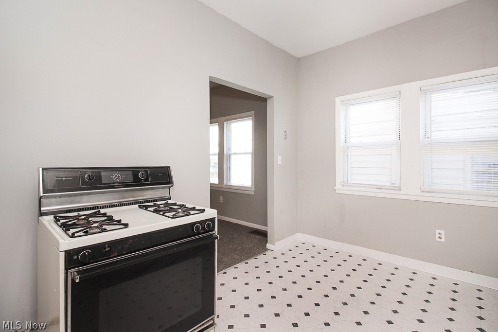 825 Alhambra Road, Unit 1/DN Cleveland, OH 44110 - Photo 14 of 28