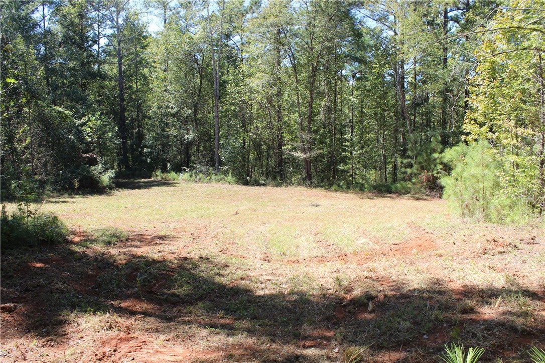 0 East Mill Road Goodwater, AL 35072 - Photo 2 of 11 Gallery Image 2