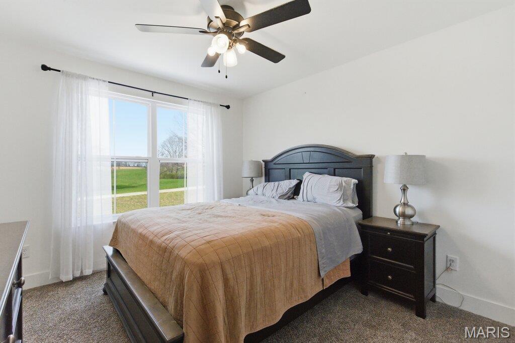 6104 Old Red Bud Road Waterloo, IL 62298 - Photo 34 of 52